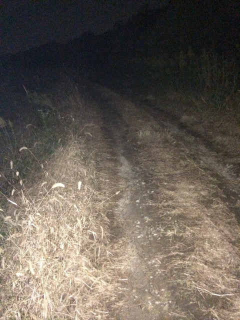 822097104.jpg