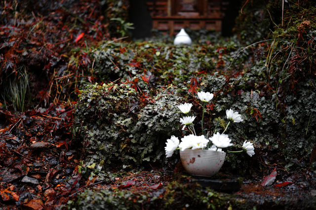 DSC05268_f.jpg