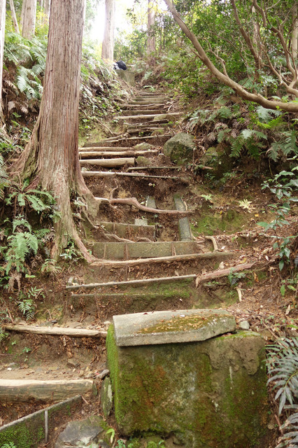 DSC05656.jpg