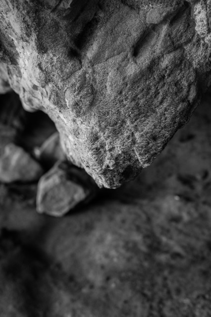 DSC06578 (2).jpg