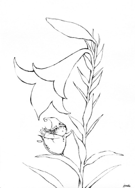 百合線画.jpg