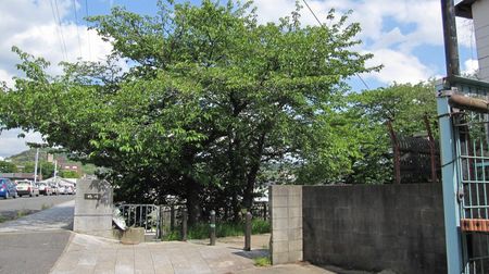 IMG_4444.JPG