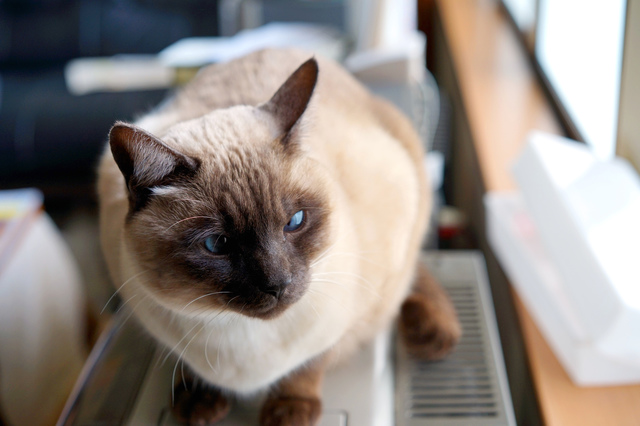 fix_DSC04656.jpg