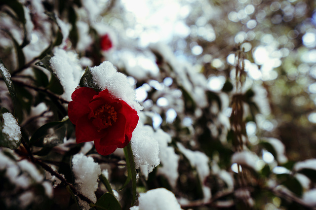 fix_DSC05098.jpg