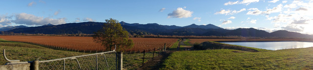 panorama03.jpg